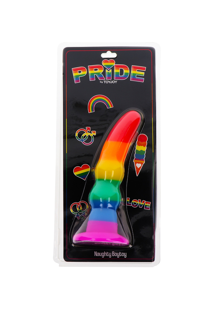 ToyJoy Naughty Boytoy RAINBOW - 4