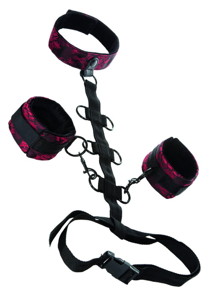 CalExotics Scandal Collar Body Restraint BLACK - 1