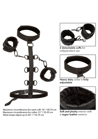 CalExotics Boundless Collar Body Restraint BLACK - 5