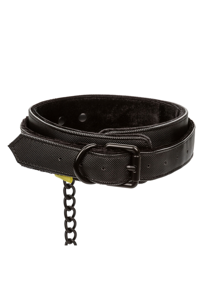 CalExotics Boundless Collar with Leash BLACK - 5