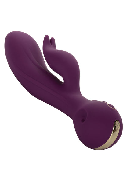 CalExotics Obsession Desire PURPLE - 2