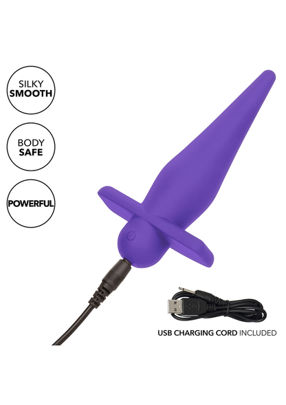 CalExotics Rechargeable High Intensity Probe PURPLE - 5