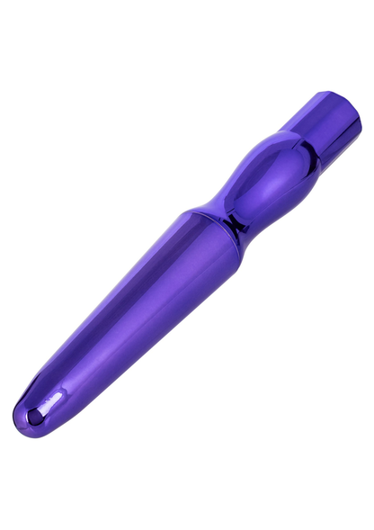 CalExotics Rechargeable Anal Probe PURPLE - 5