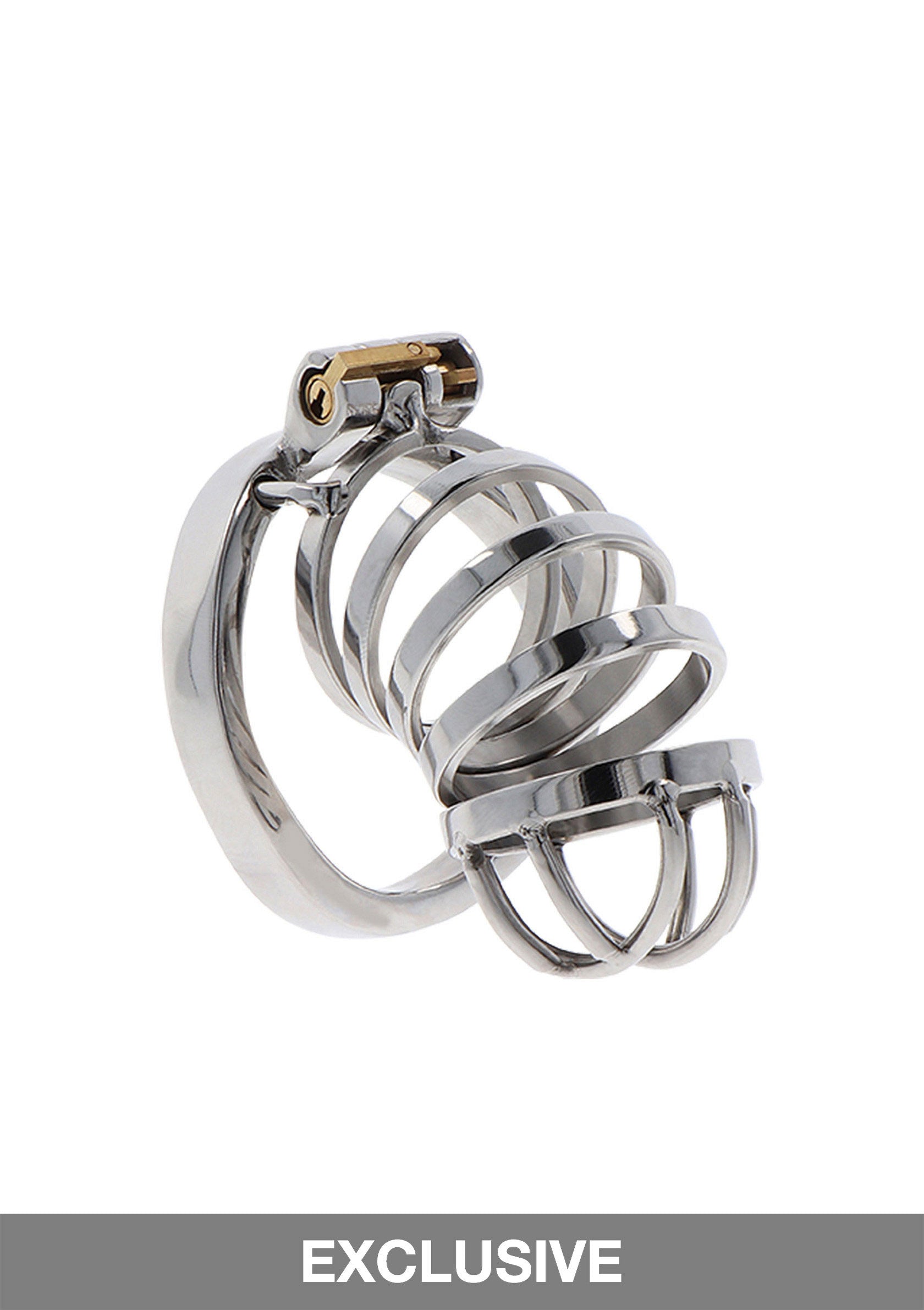 Hidden Desire Extreme Chastity Cock Cage Metal METAL - 2