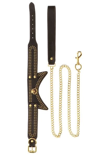 Taboom Vogue Studded Collar and Leash BLACK - 9