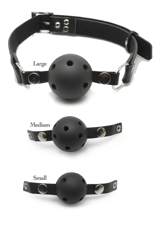 Pipedream Fetish Fantasy Series - Ball Gag Training System