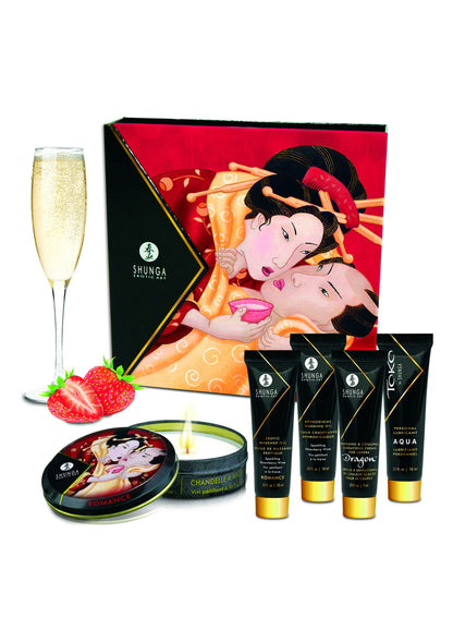 Shunga Geisha's Secrets Set 501 - 2